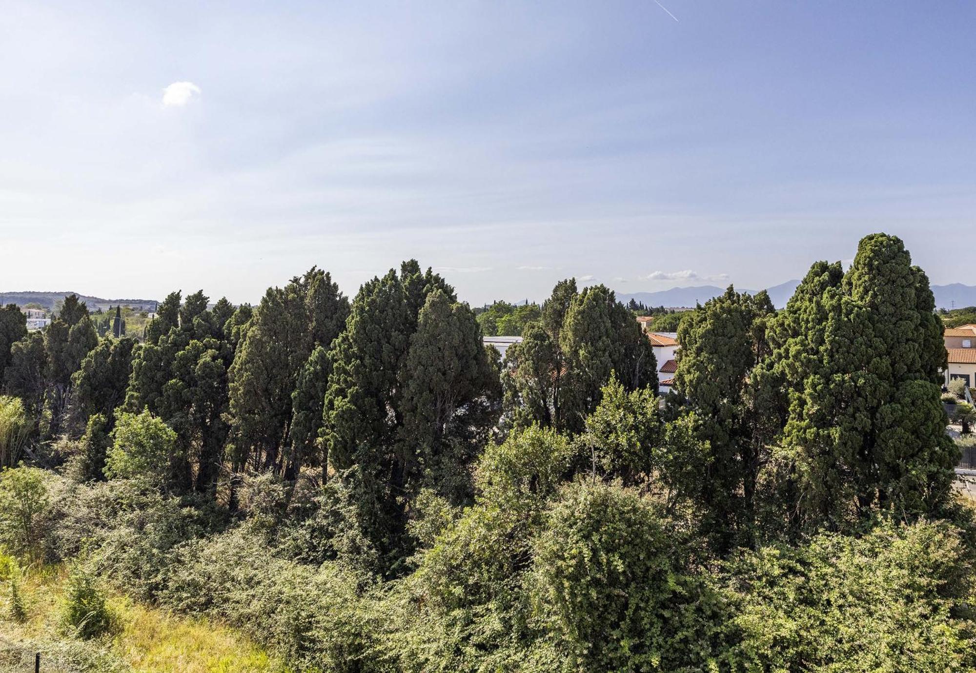 B&B Hotel Perpignan Sud Marche International Exterior photo